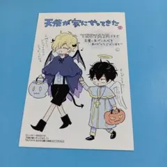 【匿名配送】ポストカード　特典付き　天使が家（うち）にやってきた　全巻セット！