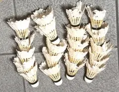 Item thumbnail for item b7d34aa0-9eb9-43f9-b057-724498038b3f