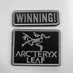 2026年最新】arc'teryx ワッペンの人気アイテム - メルカリ