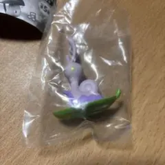 ポケモン　しとしとあまやどり　ヌメイル