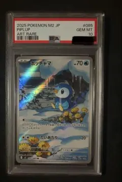 ポッチャマ AR [M2 085/080](拡張パックPSA10