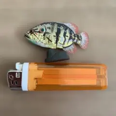 魚フィギュア