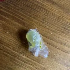 skzoo グミチャーム ポガリ