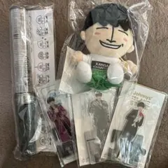 佐野晶哉 ちびぬい アクスタ ペンライト 公式写真 まとめ売り 佐野晶哉 ちびぬい アクスタ ペンライト 公式写真 まとめ売り