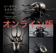 オンライン版 いきもの大図鑑アドバンス コーカサスオオカブト ジャワ島