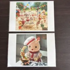 シルバニアファミリー　ポストカード　セット