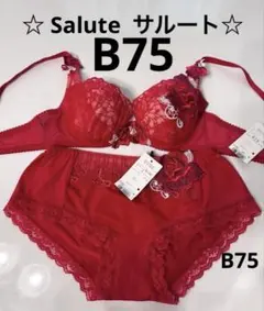 新品 ワコール サルート 赤 19G バチカン 店舗限定 E65/M - メルカリ