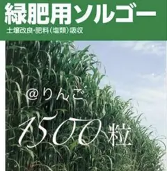 풋거름용 소르고 1500 정
