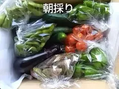 新鮮野菜セットのサムネイル