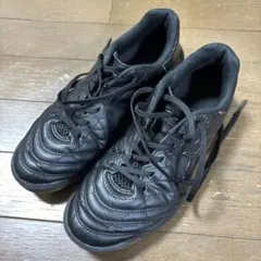 Item thumbnail for item 42dbd70c-828b-421f-b41f-bf8099ce78ce