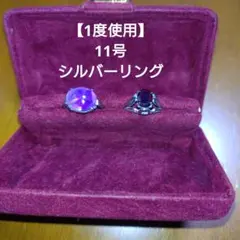 Item thumbnail for item 7c07c07d-66f3-4ab3-92b7-a0689375313c