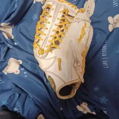 ザナツクス　トラストシリーズ　硬式グローブ　外野手用のサムネイル