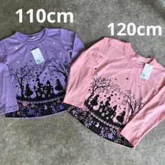 Item thumbnail for item 8fd29a57-430d-45ae-807c-c8480f8d7ca2