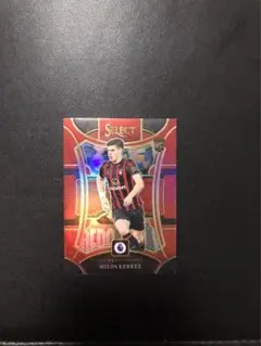 Item thumbnail for item fc766014-0d79-4414-94ca-dd3d9e2c474a