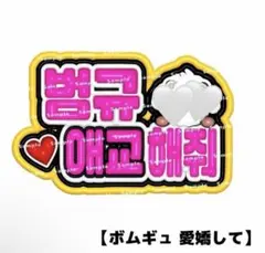 カンペ ファンサボード ペンサ TXT ボムギュ ぷっくり ネームボード ネムボ