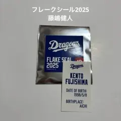 中日ドラゴンズ　フレークシール　2025