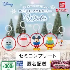ディズニーキャラクター　めじるしアクセサリー　Winter セミコンプ