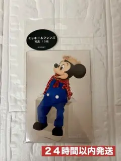 新品　写真セット　ミッキーマウスと仲間たち　１０枚セット　ディズニーリゾート