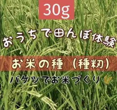 ままりん様 リクエスト 2点 まとめ商品