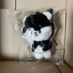 5 ヒョンジン　DOIT POPUP Straykids スキズ 10センチぬい