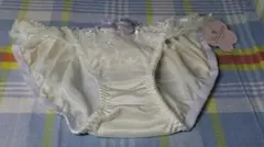 Item thumbnail for item 3595029f-dd28-4f6f-9c43-51e75ae1359e