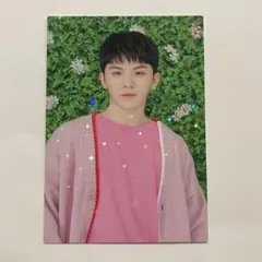 HARU SEVENTEEN 2019 JAPAN TOUR トレカ　ウジ