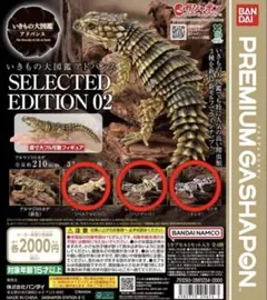 いきもの大図鑑アドバンス SELECTED EDITION 02