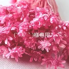 (´▽｀)様専用ページです♪