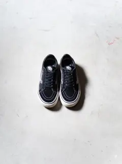"VANS" used SK8-Low surf snakeのサムネイル