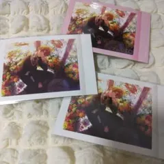 プロセカ 東雲彰人 ぱしゃこれ箔押し