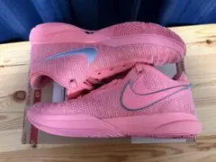 NIKE LEBRON XX EP “PINK DIAND” 28cm - メルカリ