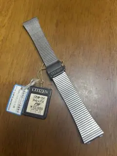 Item thumbnail for item 9623c661-f43c-4b48-8118-22105d0cb74b