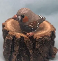 Item thumbnail for item 53235568-f92e-4a04-9bfe-4f698c271f2a