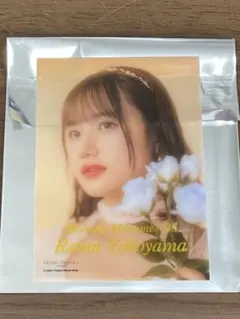 Item thumbnail for item e44444bd-074a-488c-8e13-875188c9811d