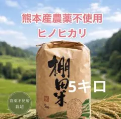 熊本産農薬不使用白米5キロのサムネイル