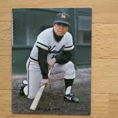 2025年最新】カルビープロ野球カード 南海ホークスの人気