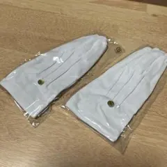 Item thumbnail for item 503a4fb7-5591-4215-99eb-5512c0d0f557