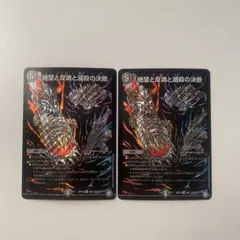 m41316030508_1.jpg?1771416417