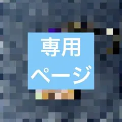 ※専用ページ※