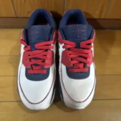 Nike Air Max /バイカラー/US 10