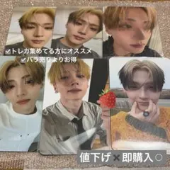 ALPHADRIVEONE ald1 サンウォントレカセット