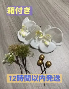 胡蝶蘭 髪飾り 白 ゴールド 和装 成人式 結婚式　卒業式 ヘアアクセサリー