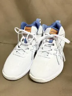 asics GELHOOP ゲルフープ バスケットボールシューズ ホワイト