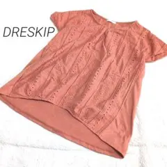 ✨️DRESKIP✨️　ドレスキップ　総刺繍　半袖カットソー　ブラウス　ゆったり