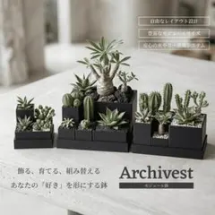 【3Dプリント・モジュール鉢】Archivest　Aセットのサムネイル