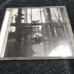 Chaos and Creation in the Backyard