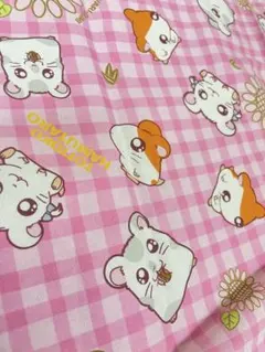 Item thumbnail for item 43098641-fffe-4485-90bc-3d7e18ec6ea2