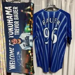 Item thumbnail for item dd258e51-959e-4911-abfc-6b642463d88f