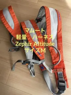 Item thumbnail for item 24f3cba4-b8c7-4aab-b617-a0668fcdbd55