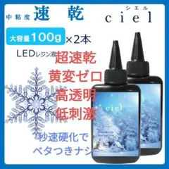 レジン液 超速乾!!直射日光でも永久クリア✨シエル100g2本